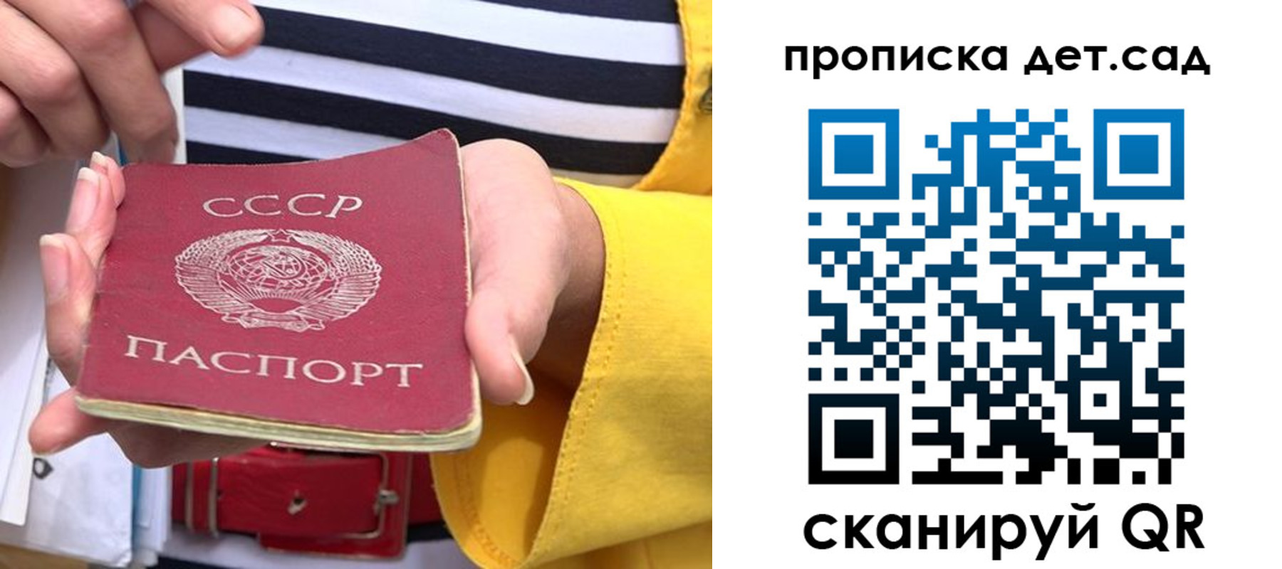 прописка для школы в Братске